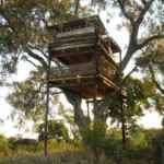 umlani bushcamp treehouse
