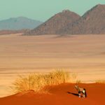 Windhoek-Victoria Falls one way namib rand-landscape