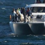 Wale & Wine Hermanus Tagestour