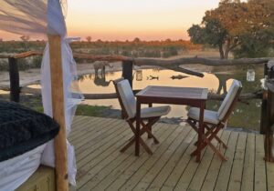 Kapstadt, Krüger Park, Okavango Delta, Chobe und Victoria Falls - Flugsafari - 16 Tage