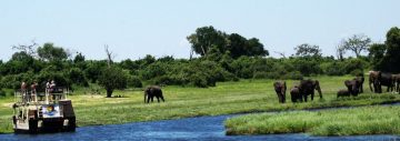 Chobe Hwange safari chobe-river-cruise elephants