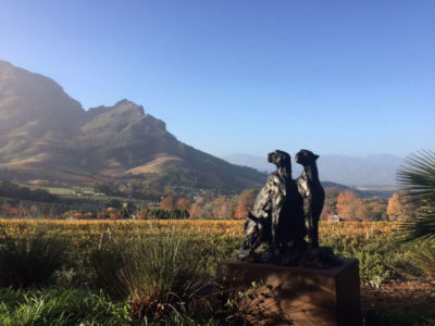 exclusive vinyard delaire_graff sculpture leopards