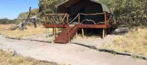 camp-savuti-accommodation-wide3