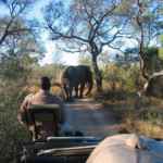 Südafrika Rundreise tracker-safari-vehicle