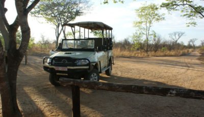 Typisches Safari Fahrzeug