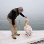 catamaran tour pelican