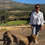 Wildtiere hautnah Gepard mit Irina