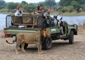 represents a game drive experience in the Garden Route Game Lodge