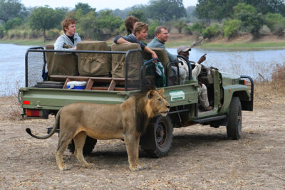represents a game drive experience in the Garden Route Game Lodge