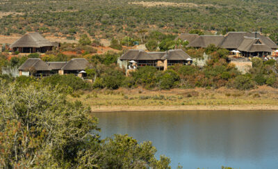 Safari am Eastern Cape | Pumba Wildreservat